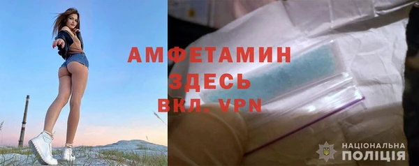прущие грибы Долгопрудный